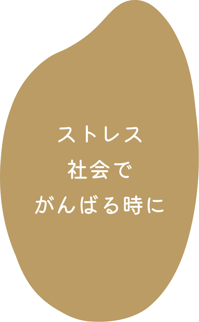 ストレス社会でがんばる時に