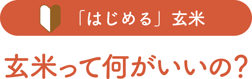 玄米って何がいいの?タイトル画像