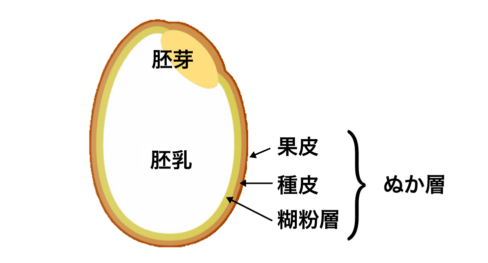 ソフトブラン玄米って、玄米と何が違うの？説明画像01
