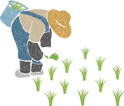 田植えイラスト