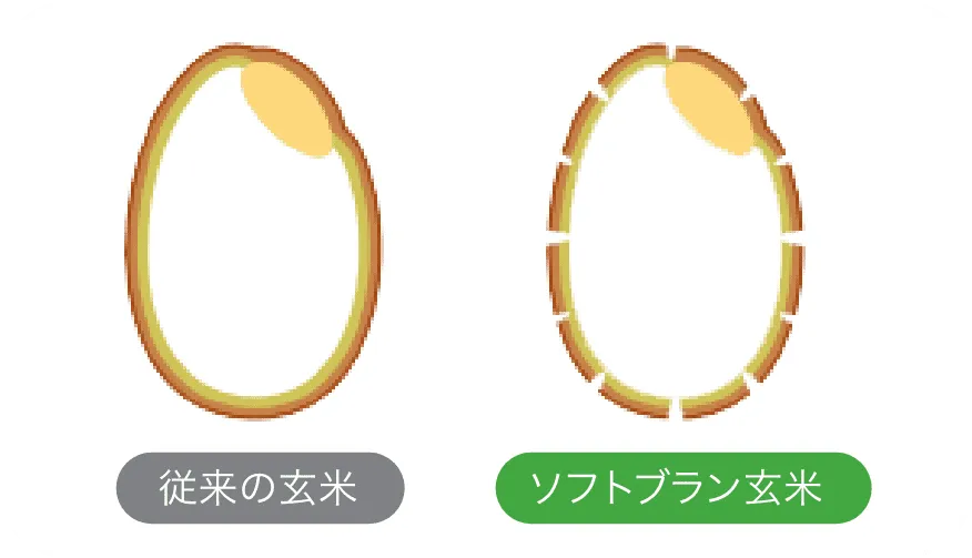 ソフトブラン玄米って、玄米と何が違うの？説明画像02