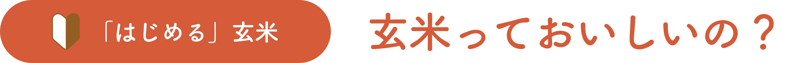 玄米っておいしいの？タイトル画像
