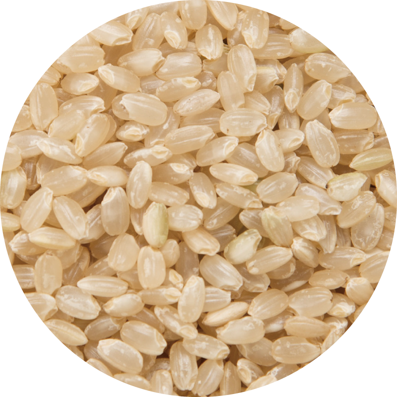 ソフトブラン玄米