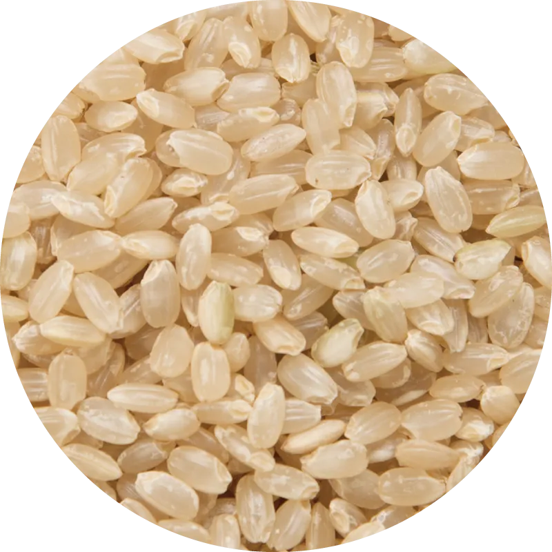 ソフトブラン玄米